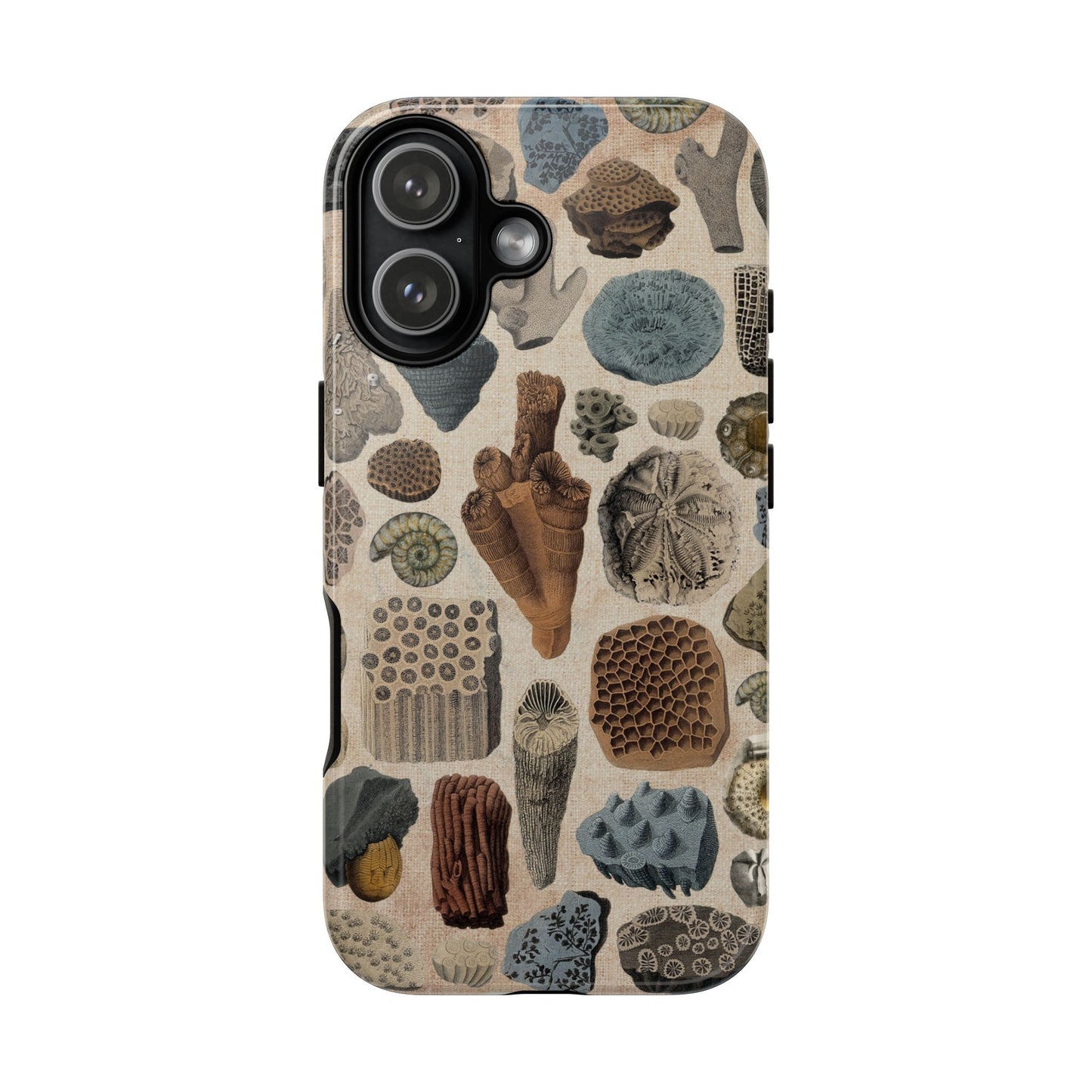 Fossils Antique Illustrations iPhone Case