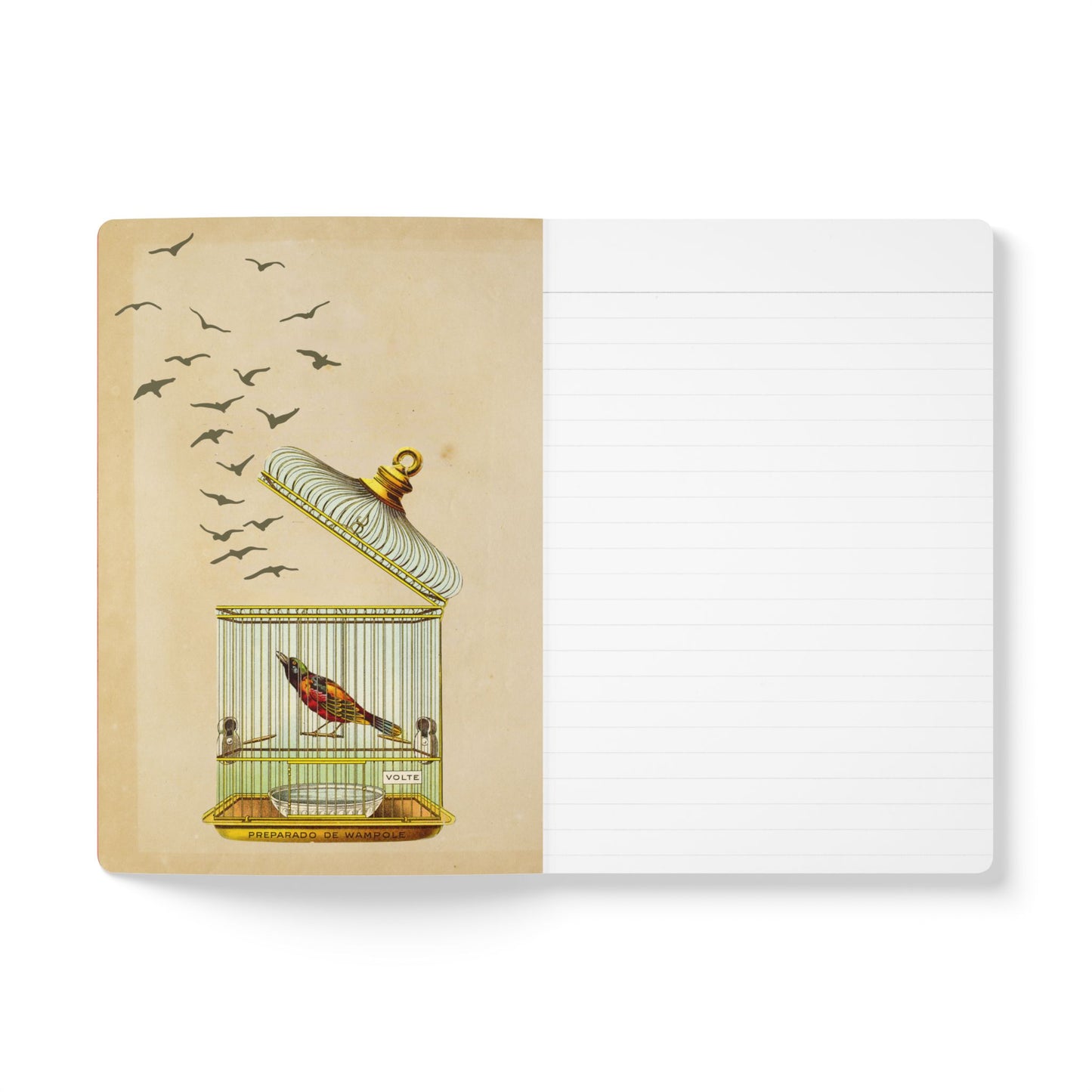 People of Europe Vintage Map | Softcover Travel Journal with Inside Illustrations