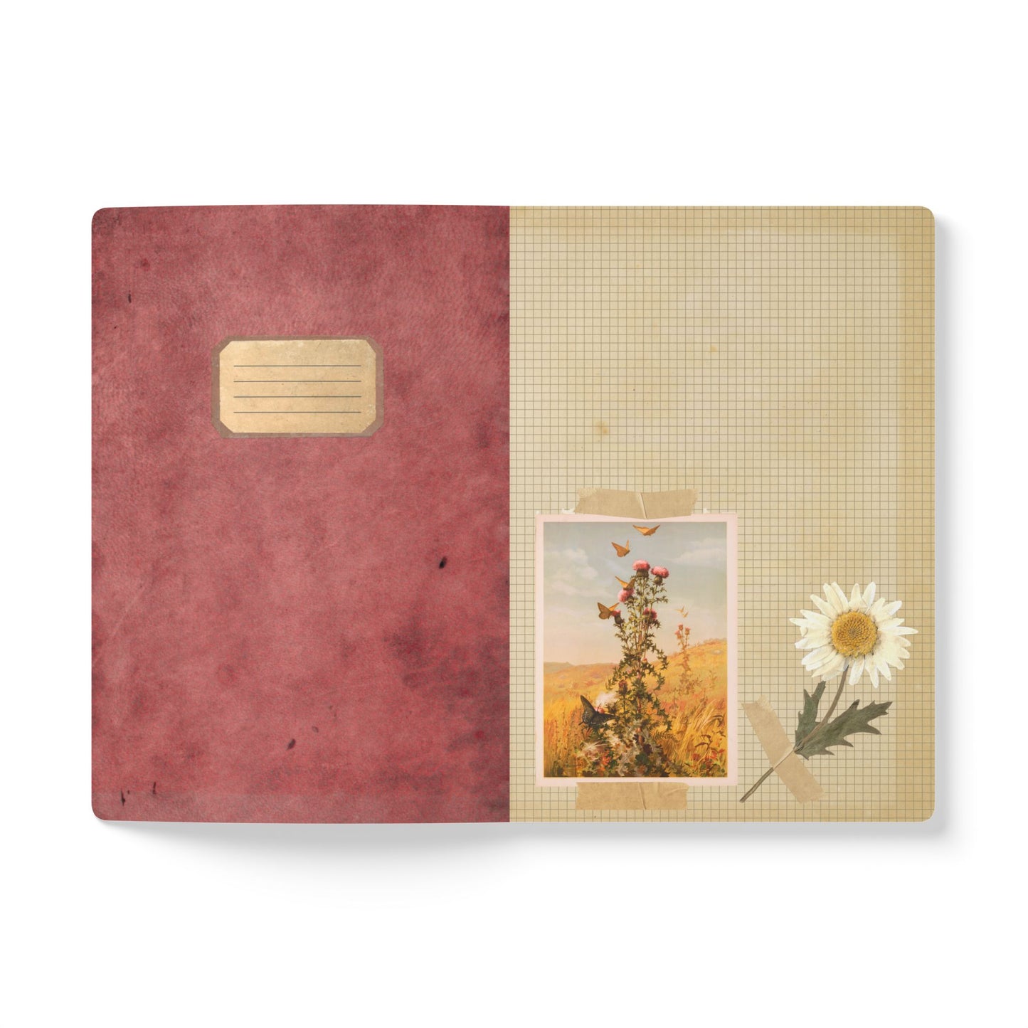 Bee & Thistle Vintage Field Notes | Softcover Journal with Inside Illustrations