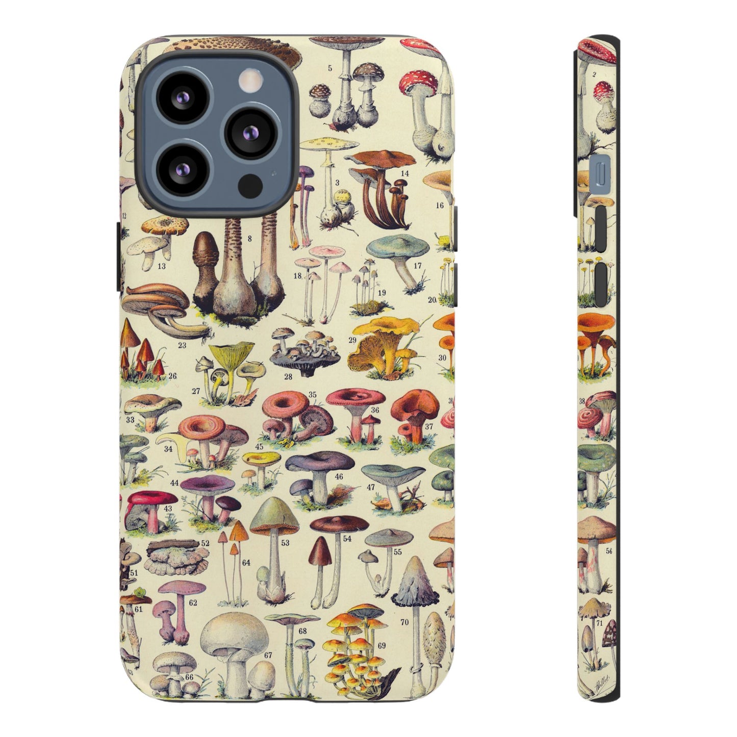 Antique Forager Fungi iPhone Case