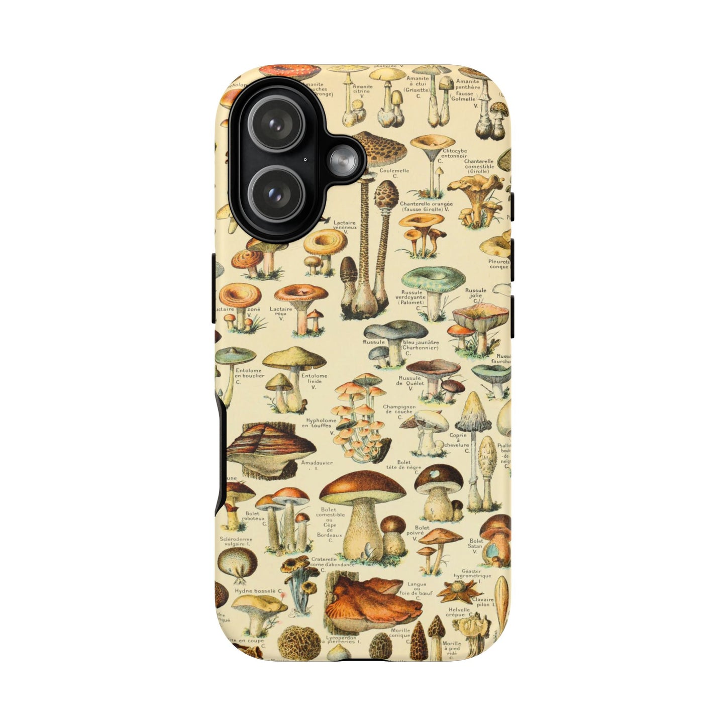 Mushrooms Vintage Field Guide iPhone Case