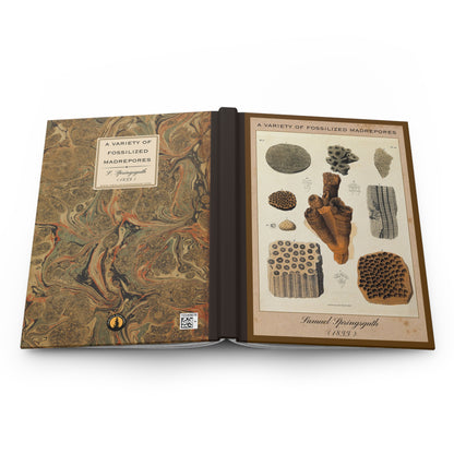 Vintage Fossil Collection Hardcover Notebook No. 001