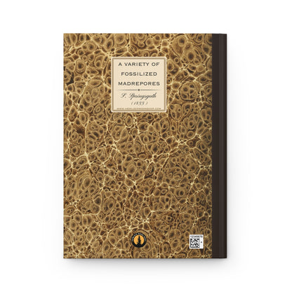 Vintage Fossil Collection Hardcover Notebook No. 004