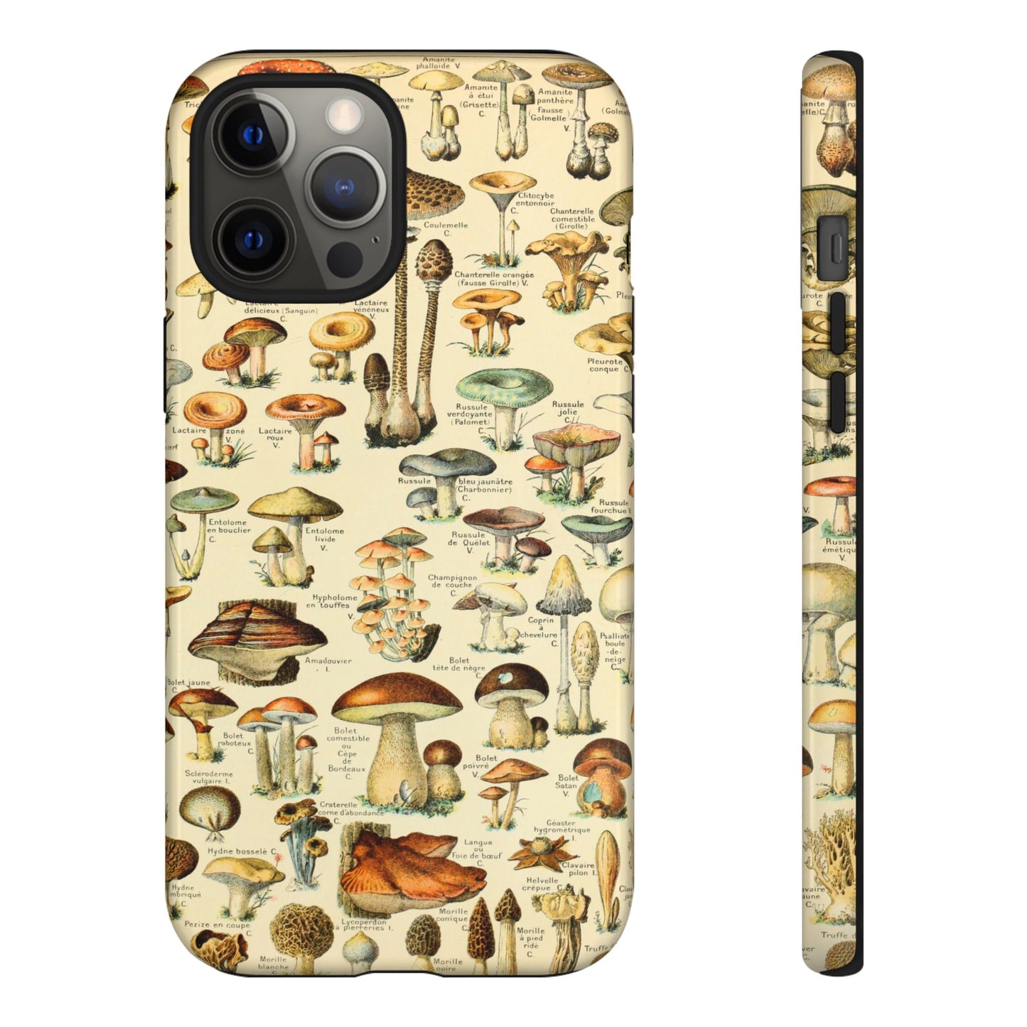 Mushrooms Vintage Field Guide iPhone Case