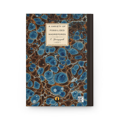 Vintage Fossil Collection Hardcover Notebook No. 005