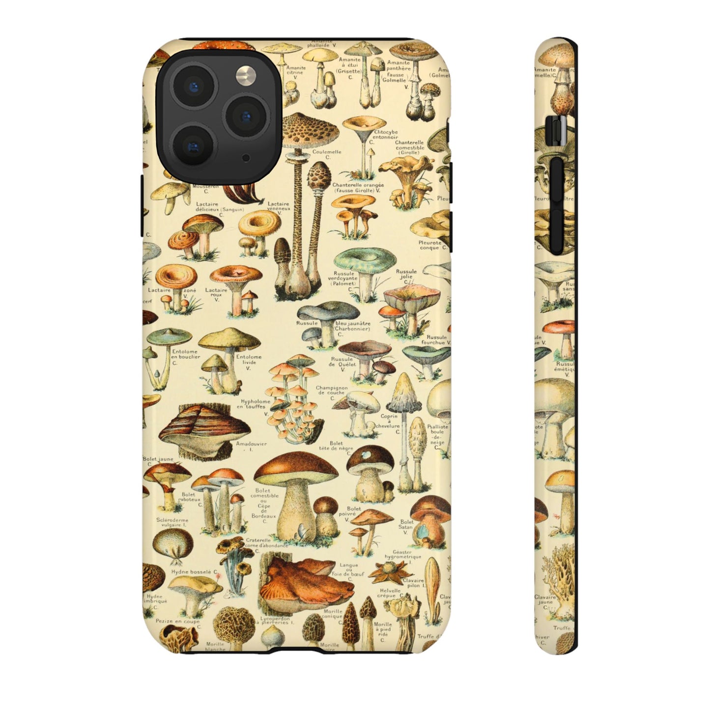 Mushrooms Vintage Field Guide iPhone Case