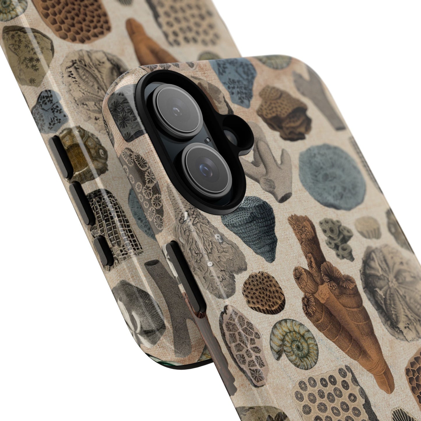Fossils Antique Illustrations iPhone Case