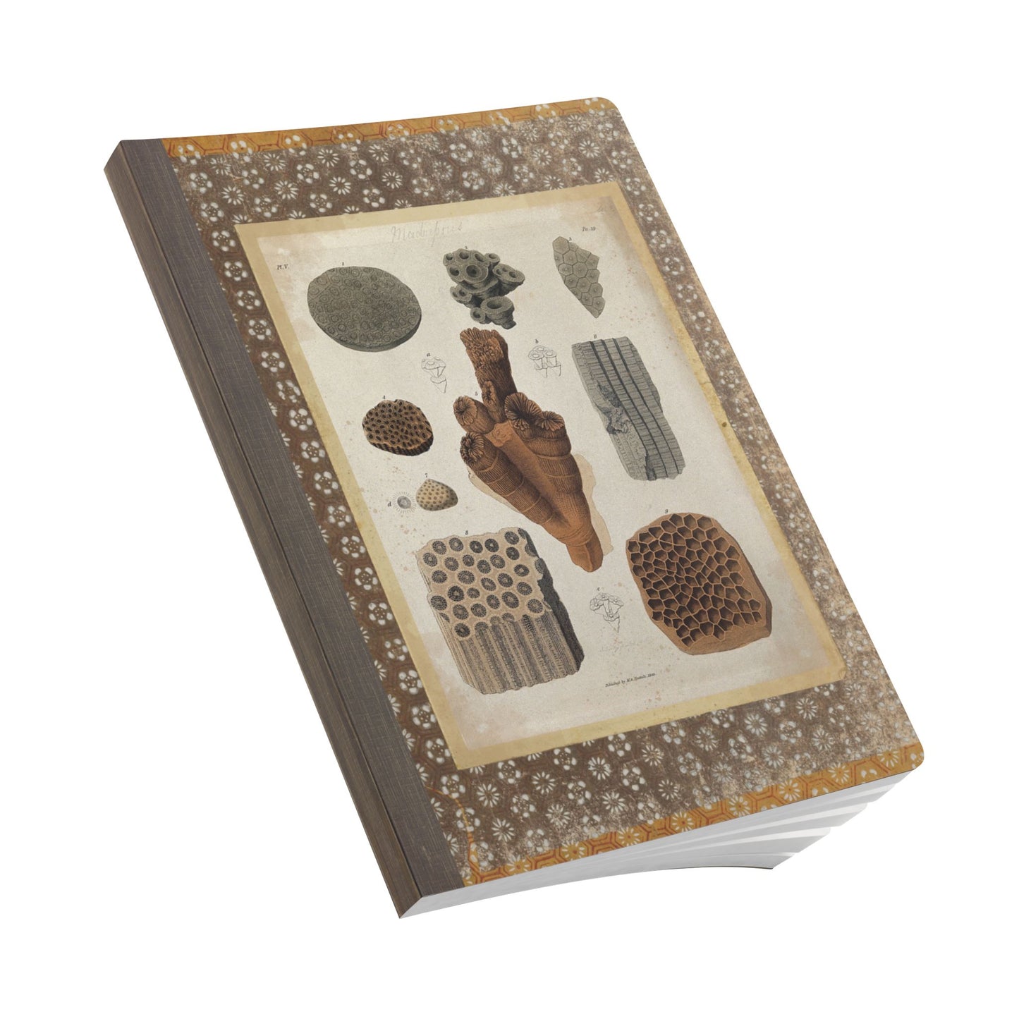 Fossils Vintage Brown Softcover Pocket Notebook
