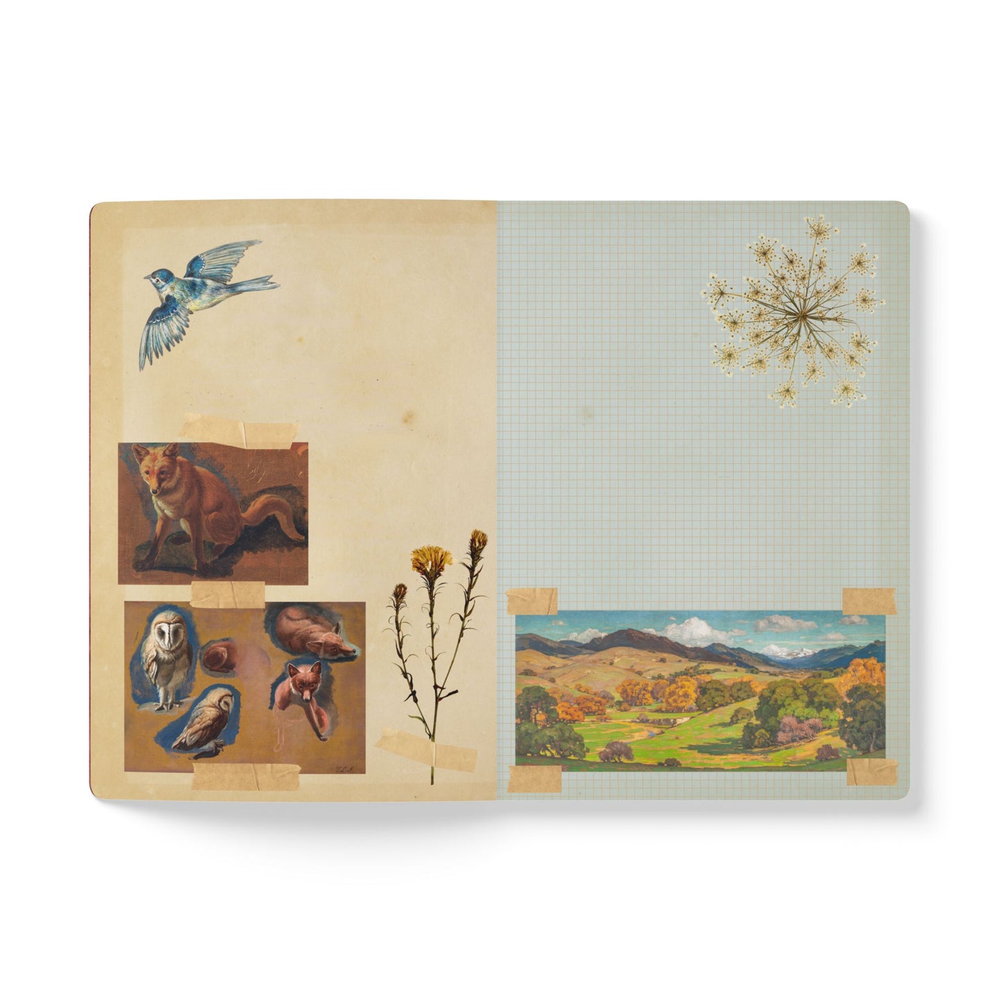 Bee & Thistle Vintage Field Notes | Softcover Journal with Inside Illustrations