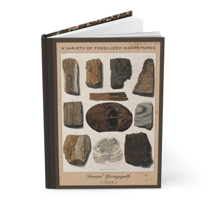 Vintage Fossil Collection Hardcover Notebook No. 003