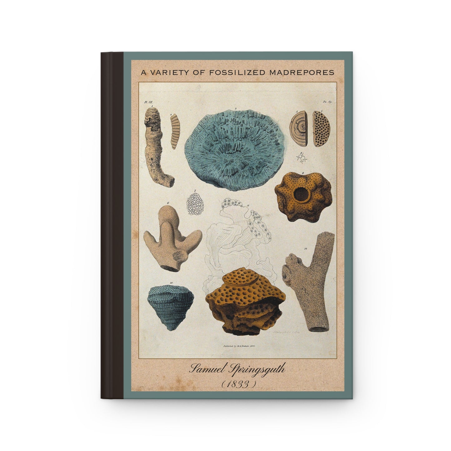 Vintage Fossil Collection Hardcover Notebook No. 002