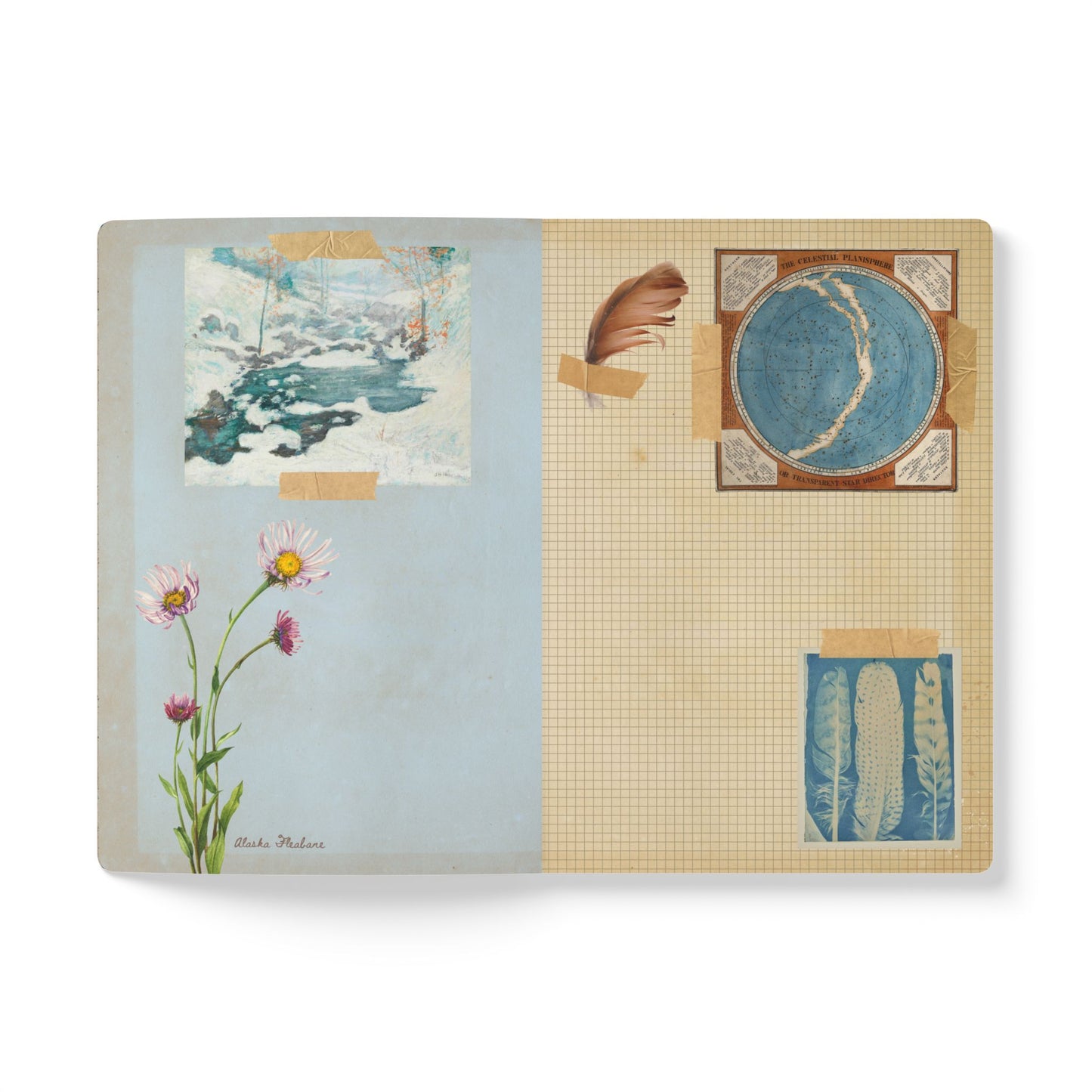 Northern Explorer Vintage Field Notes | Softcover Journal with Inside Illustrations