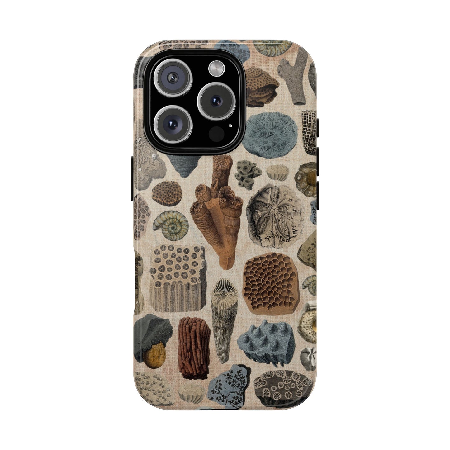 Fossils Antique Illustrations iPhone Case