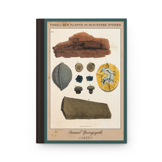 Vintage Fossil Collection Hardcover Notebook No. 011