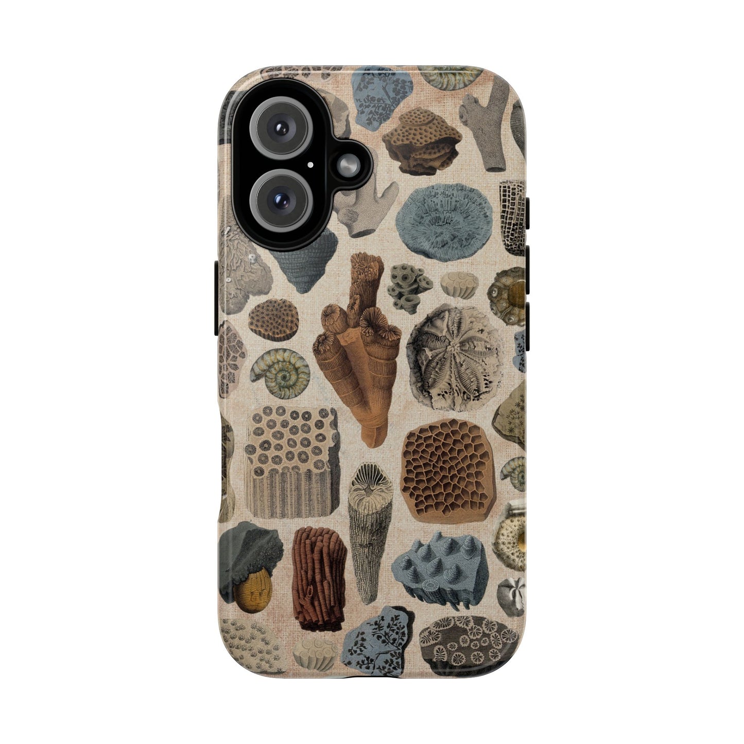 Fossils Antique Illustrations iPhone Case
