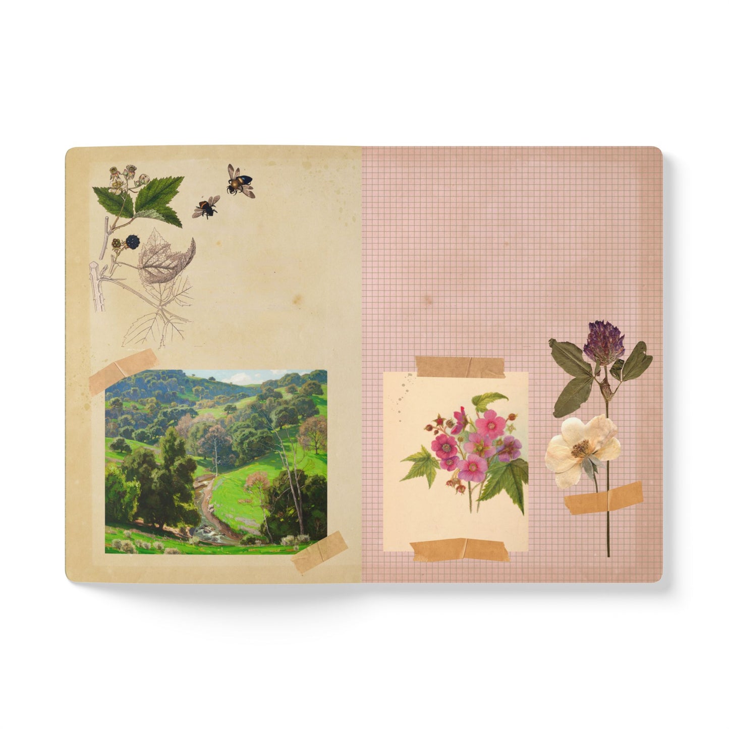 Summer Meadow Vintage Field Notes | Softcover Journal with Inside Illustrations