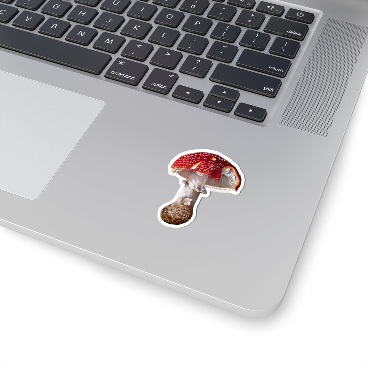 Amanita Muscaria (Fly Agaric Fungus) sticker (4 sizes)