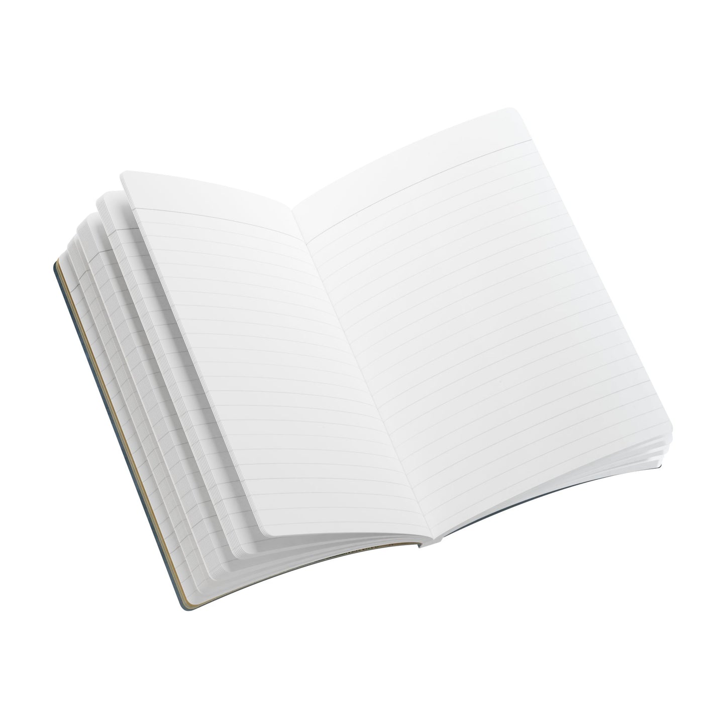 Birdwatcher Vintage Field Notes | Softcover Journal with Inside Illustrations