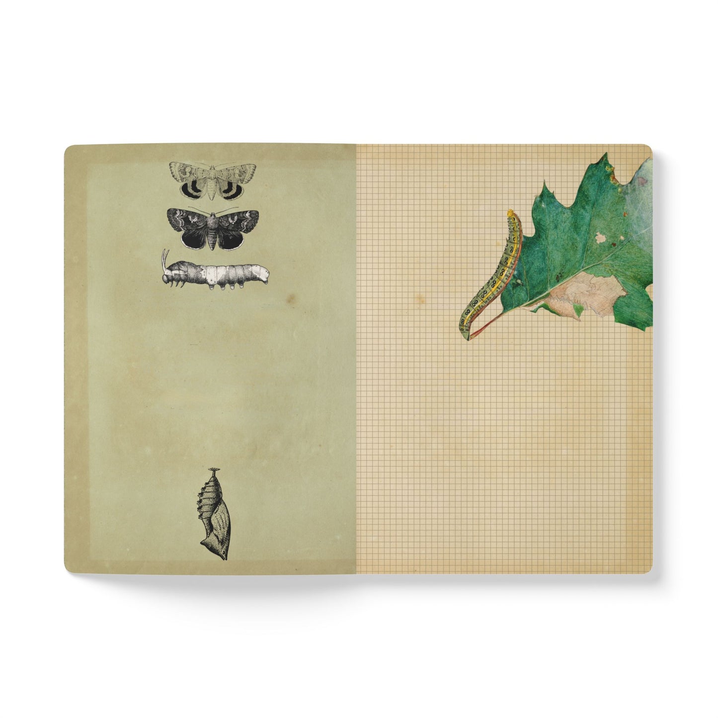 Caterpillar Vintage Field Notes | Softcover Journal with Inside Illustrations