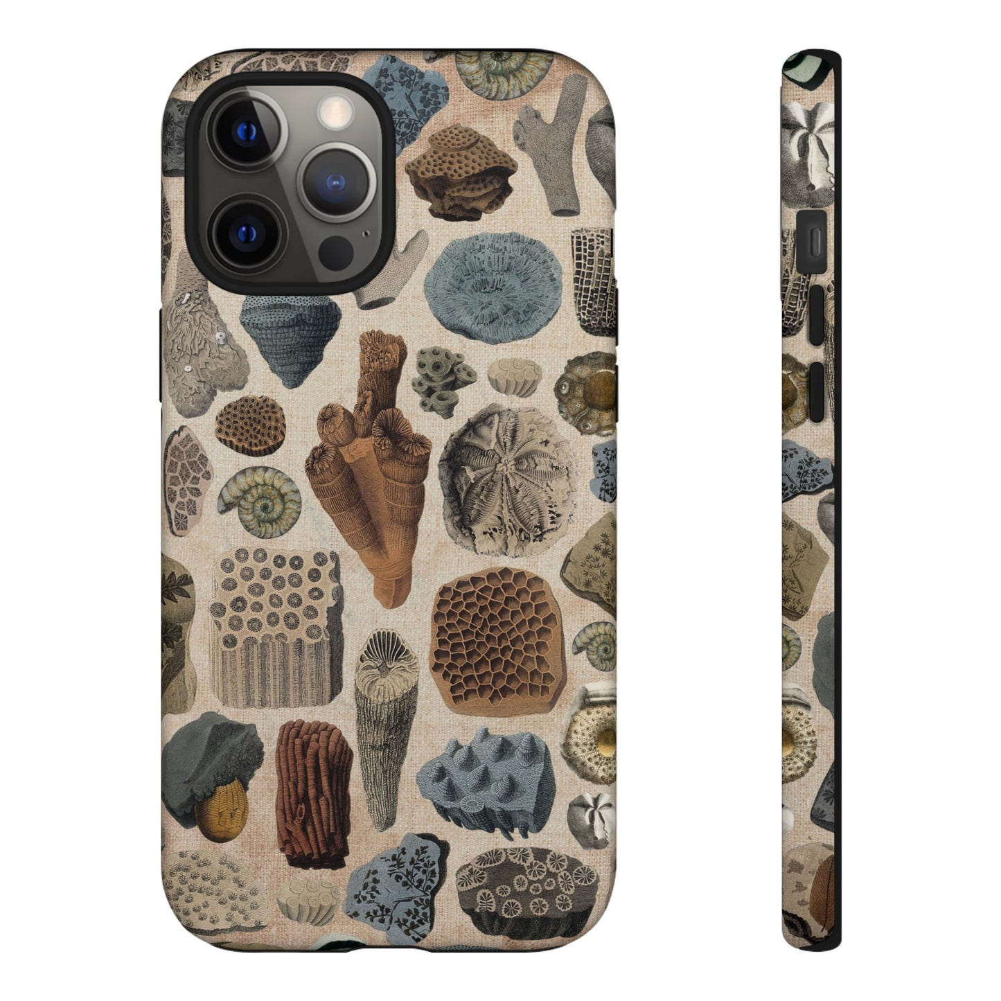Fossils Antique Illustrations iPhone Case