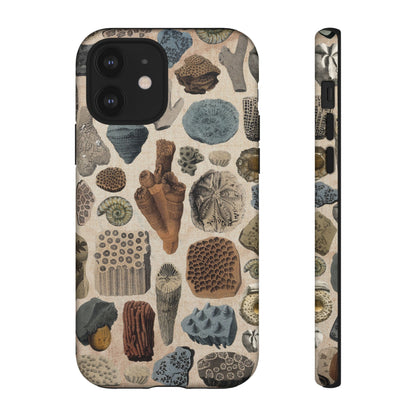 Fossils Antique Illustrations iPhone Case