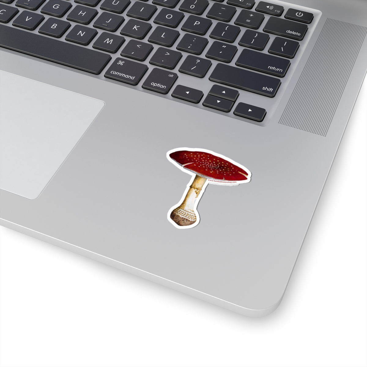 Fly Agaric (Amanita Mascara) Mushroom Sticker (4 sizes)