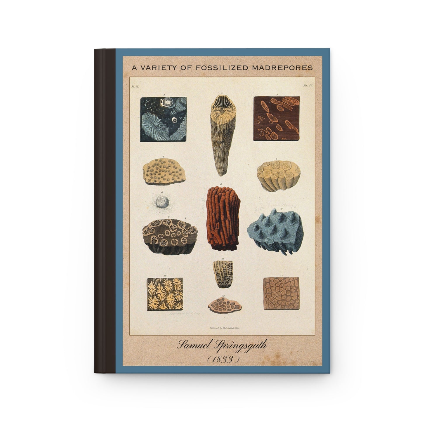 Vintage Fossil Collection Hardcover Notebook No. 005