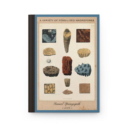 Vintage Fossil Collection Hardcover Notebook No. 005