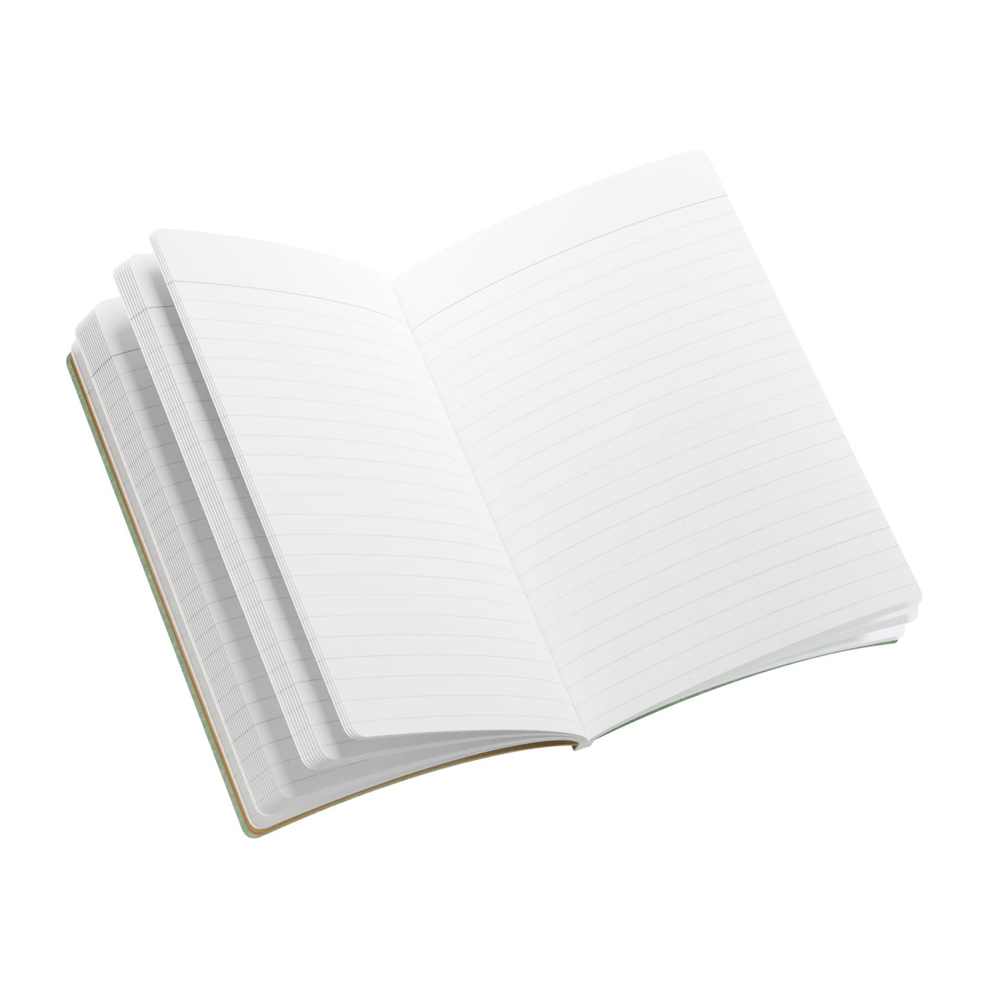 Forager Vintage Field Notes | Softcover Journal with Inside Illustrations