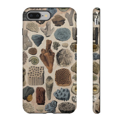 Fossils Antique Illustrations iPhone Case