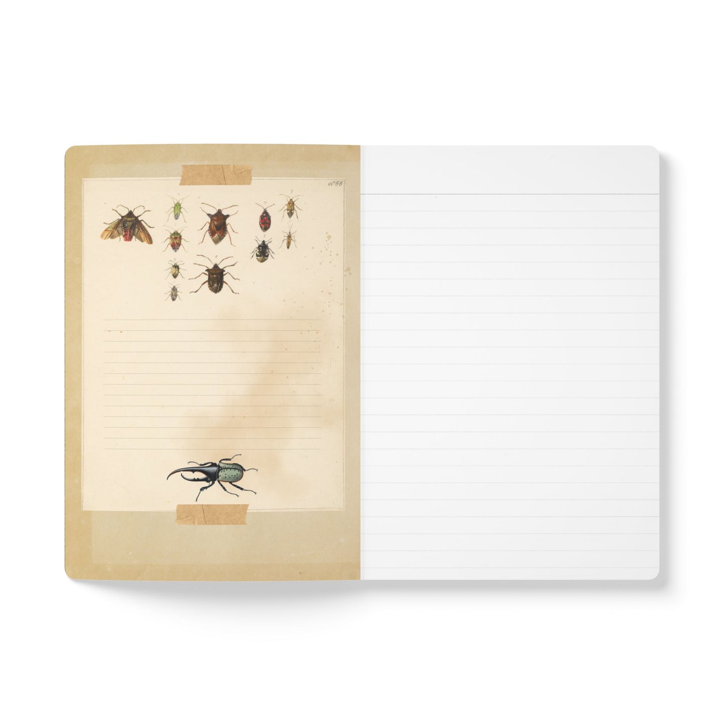 Caterpillar Vintage Field Notes | Softcover Journal with Inside Illustrations