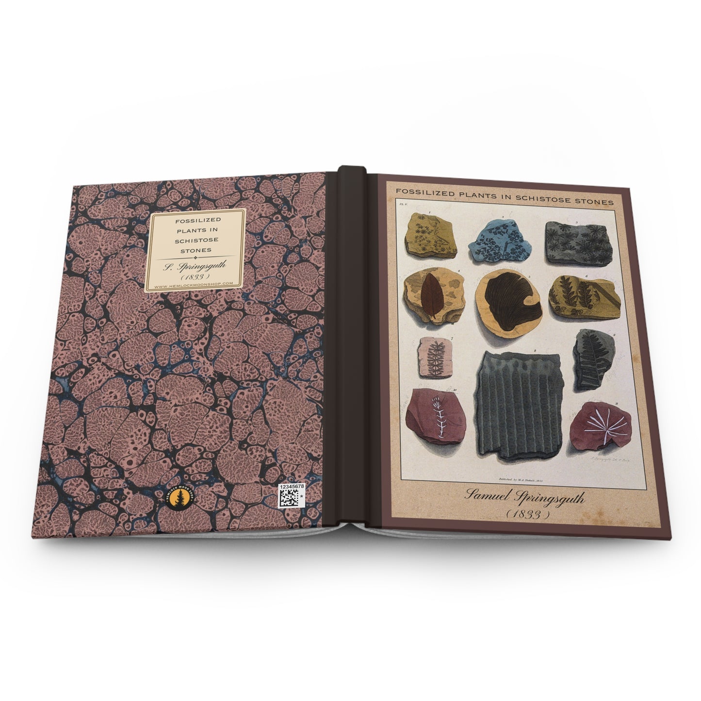 Vintage Fossil Collection Hardcover Notebook No. 008