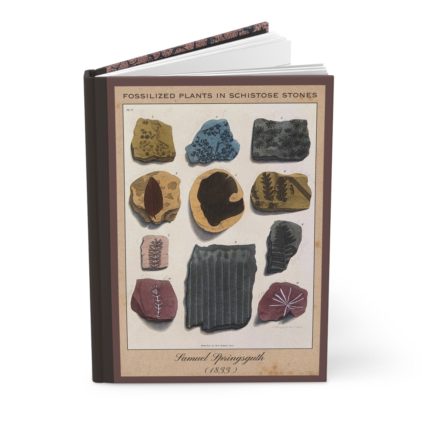 Vintage Fossil Collection Hardcover Notebook No. 008