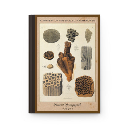 Vintage Fossil Collection Hardcover Notebook No. 001