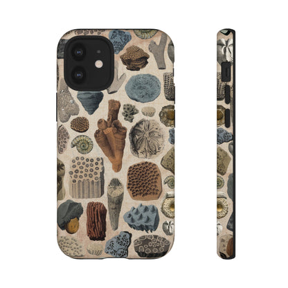 Fossils Antique Illustrations iPhone Case