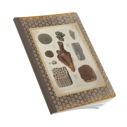 Fossils Vintage Brown Softcover Pocket Notebook