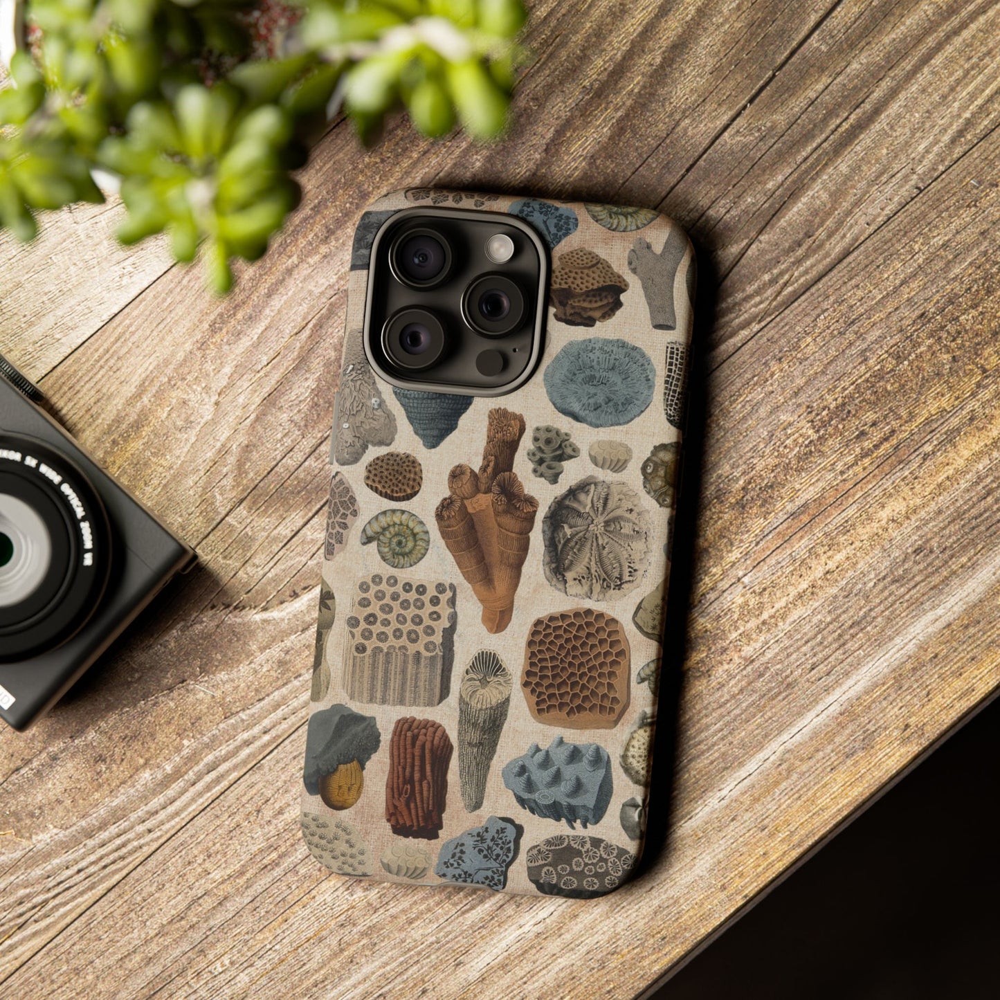 Fossils Antique Illustrations iPhone Case