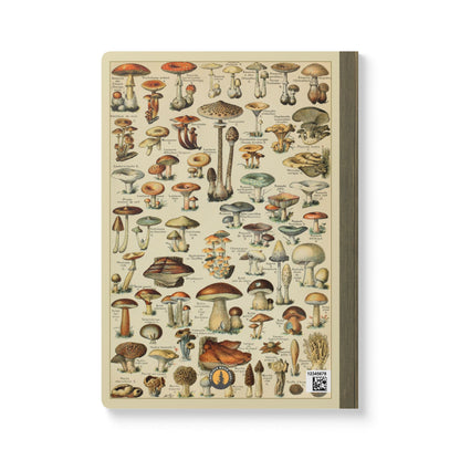 Forager Vintage Field Notes | Softcover Journal with Inside Illustrations