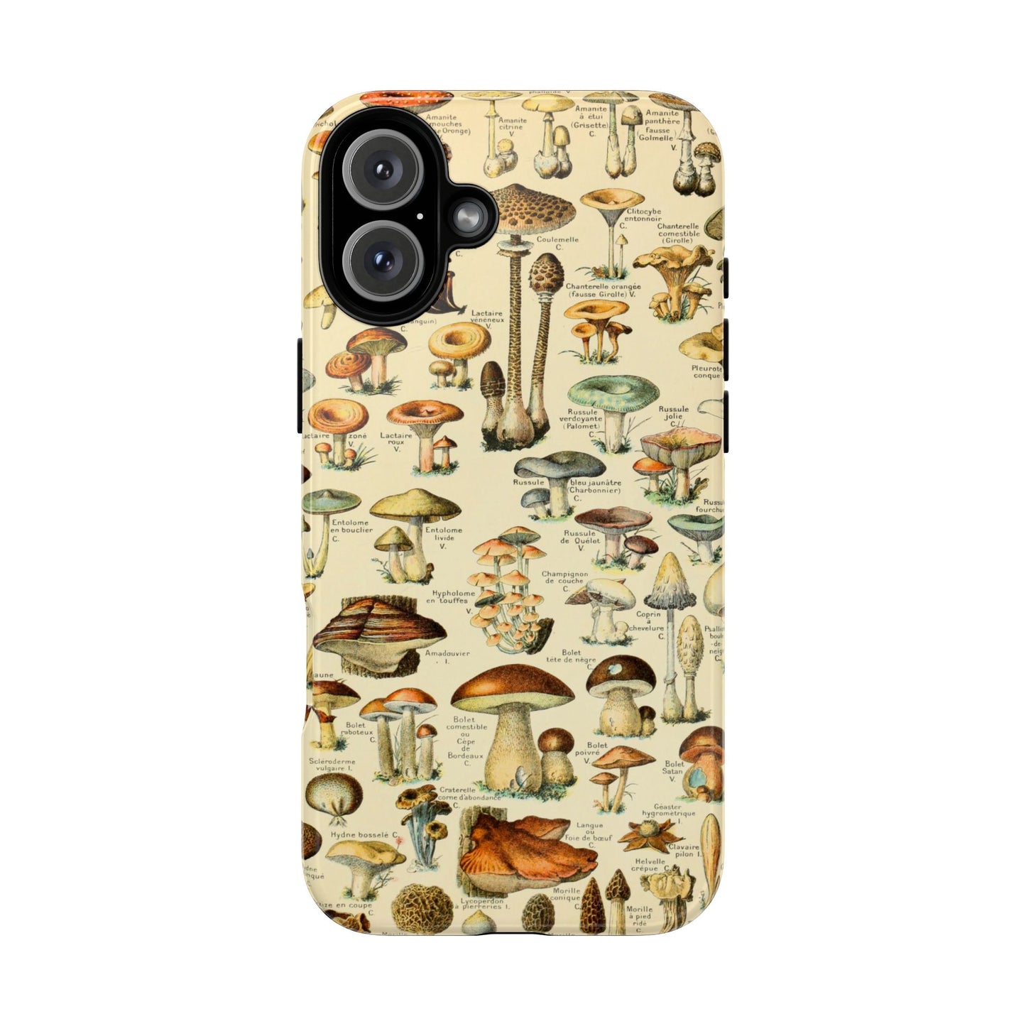 Mushrooms Vintage Field Guide iPhone Case