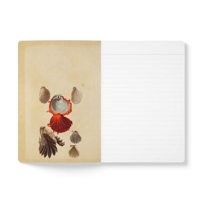 Beachcomber Vintage Field Notes | Softcover Journal with Inside Illustrations