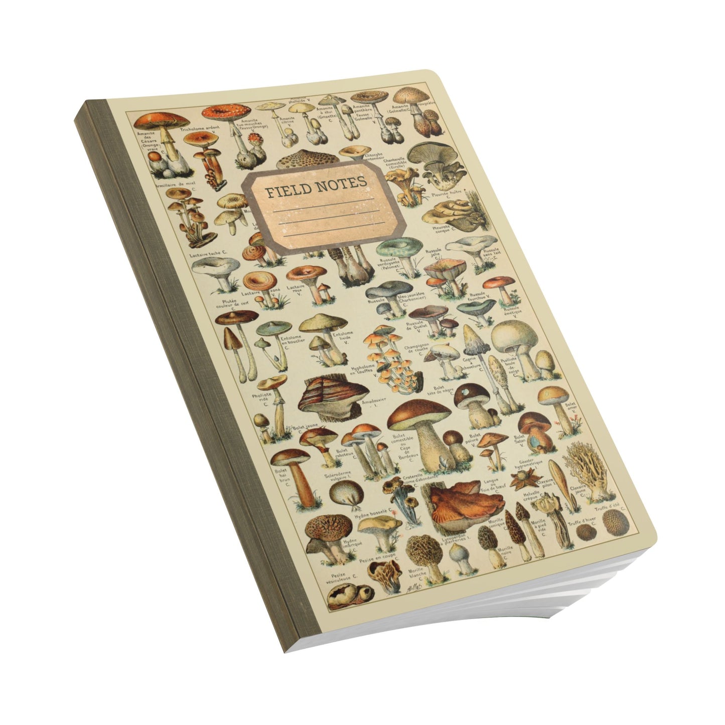 Forager Vintage Field Notes | Softcover Journal with Inside Illustrations
