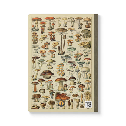 Forager Vintage Field Notes | Softcover Journal with Inside Illustrations