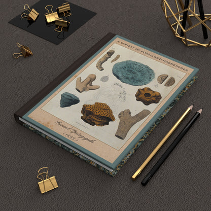 Vintage Fossil Collection Hardcover Notebook No. 002