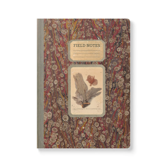 Beachcomber Vintage Field Notes | Softcover Journal with Inside Illustrations