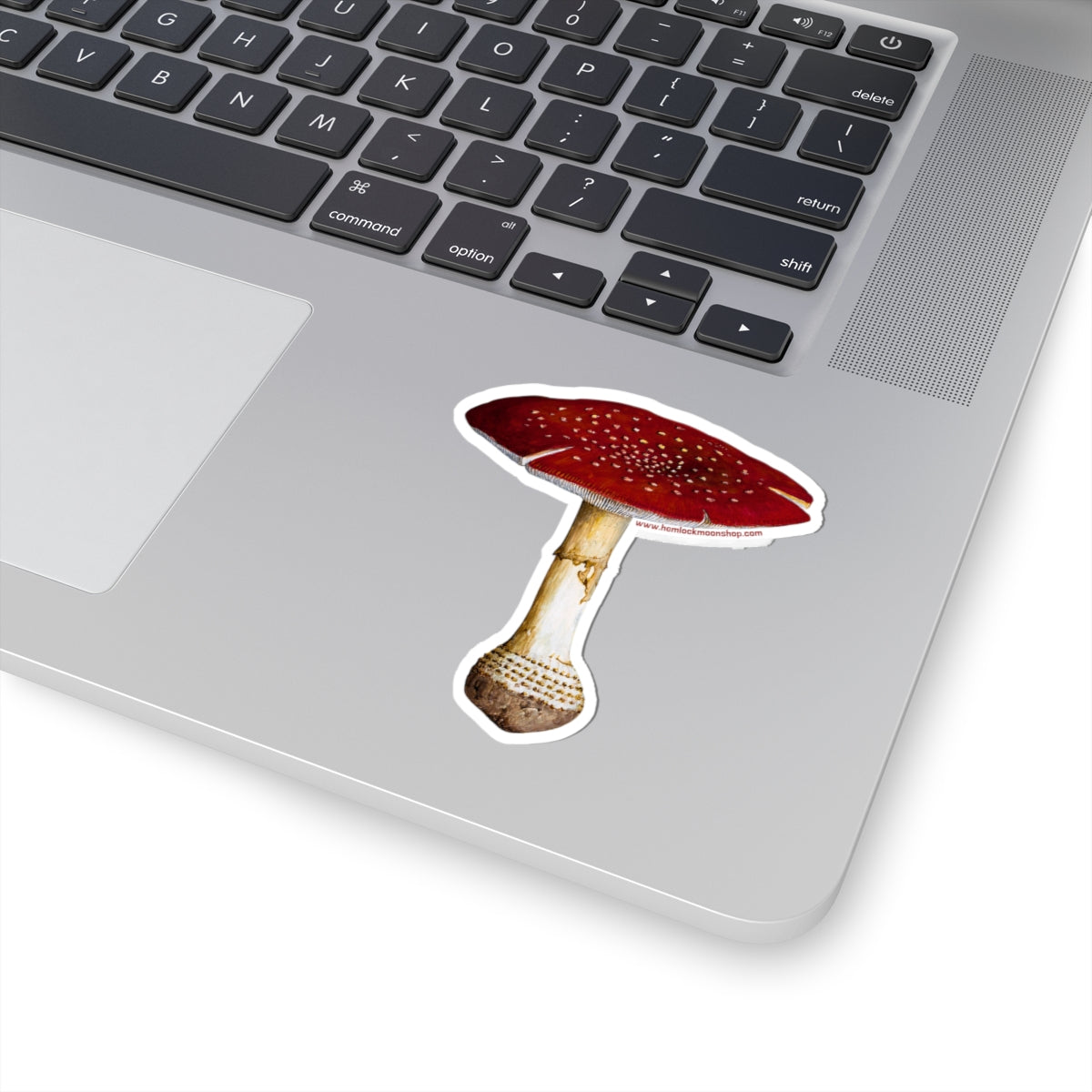 Fly Agaric (Amanita Mascara) Mushroom Sticker (4 sizes)