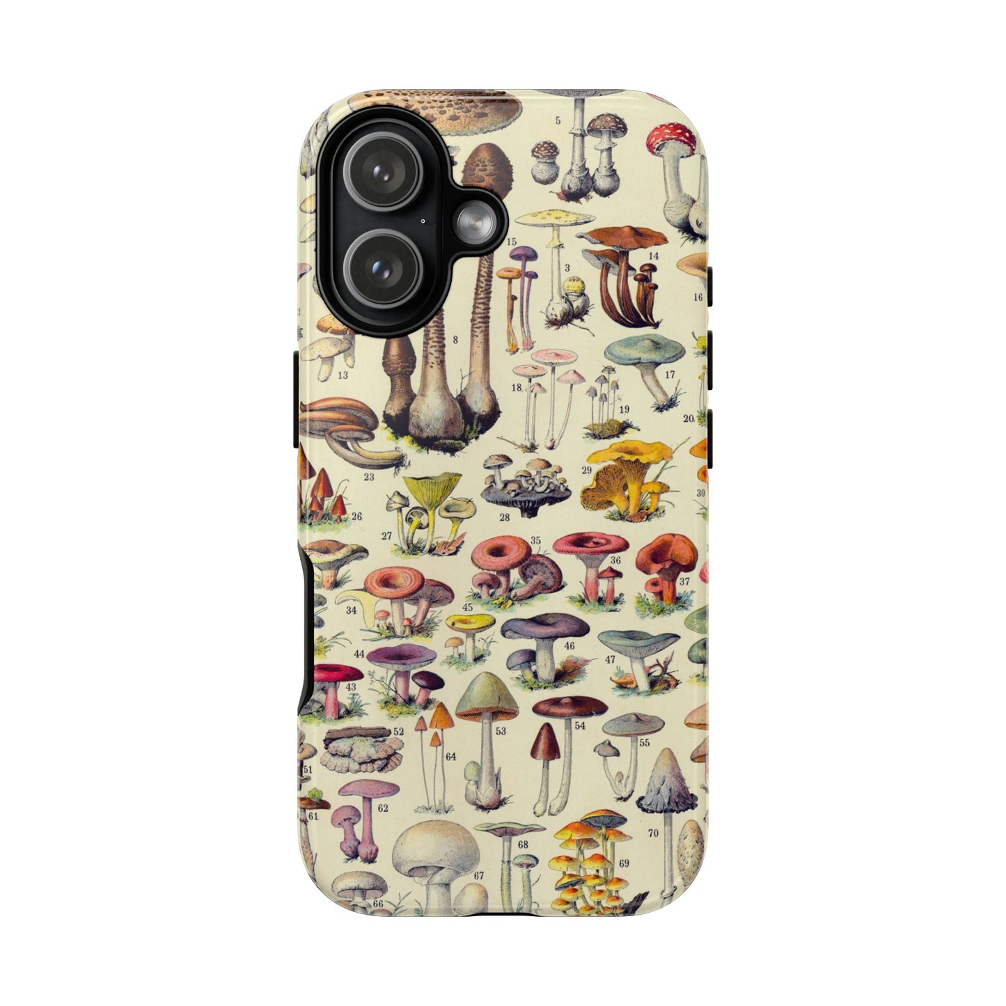 Antique Forager Fungi iPhone Case