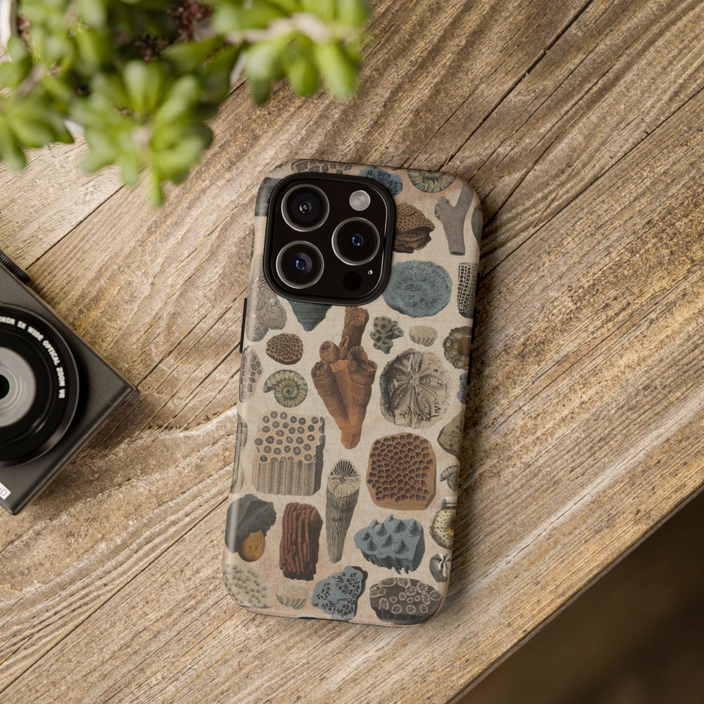 Fossils Antique Illustrations iPhone Case