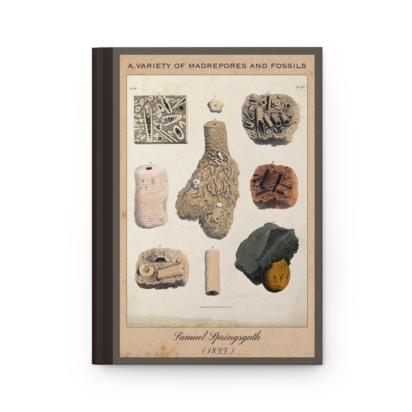 Vintage Fossil Collection Hardcover Notebook No. 007