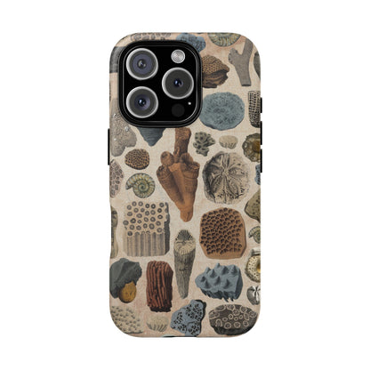 Fossils Antique Illustrations iPhone Case