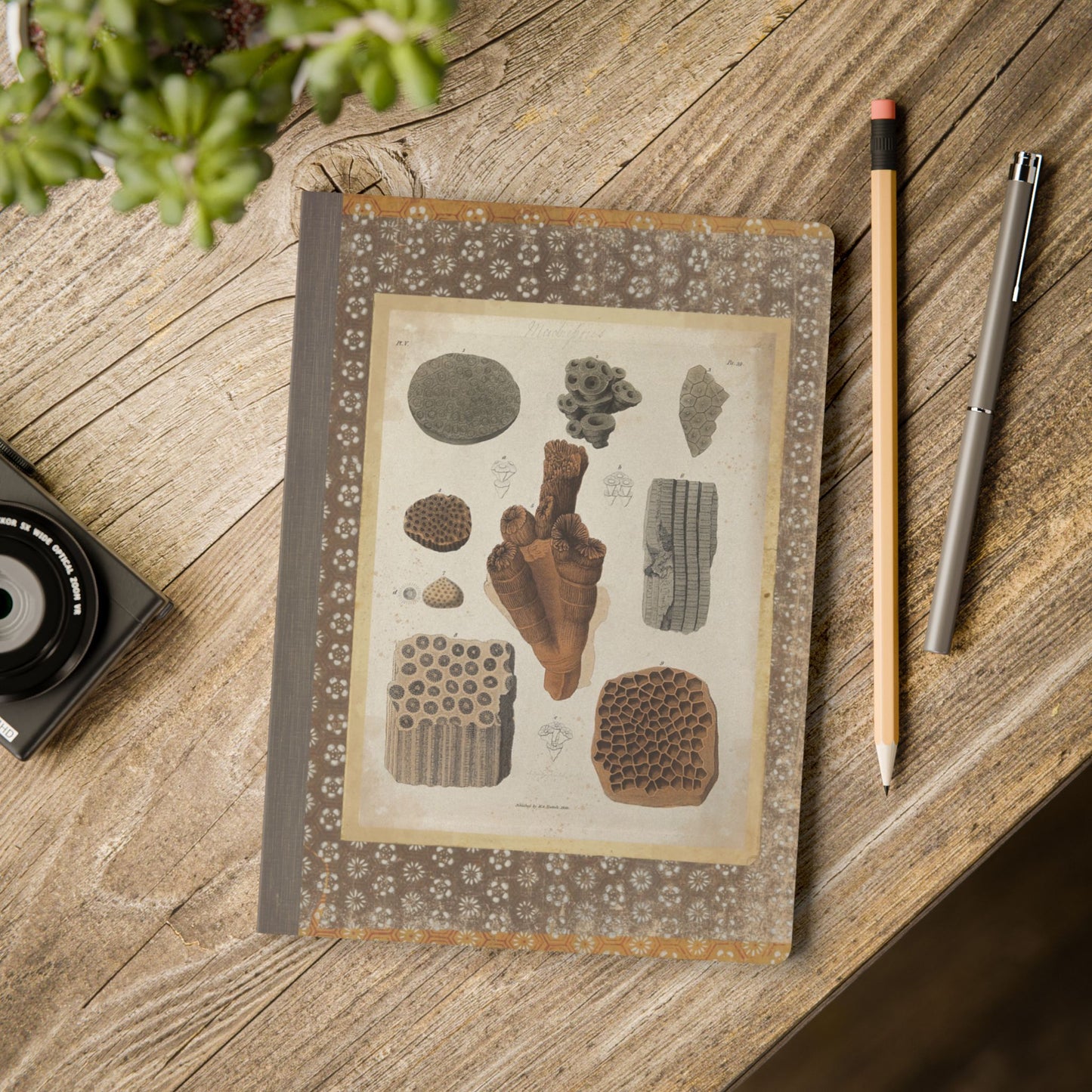 Fossils Vintage Brown Softcover Pocket Notebook
